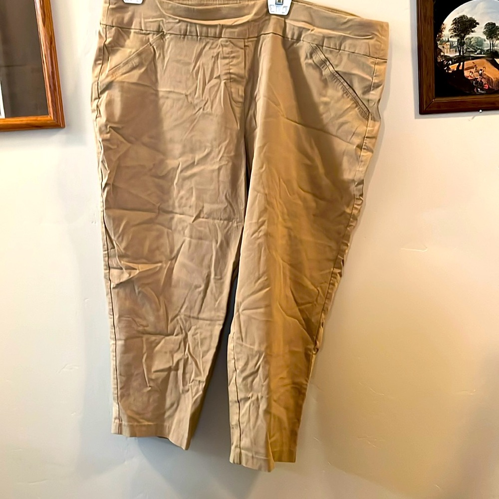 Stylish Tan Capris